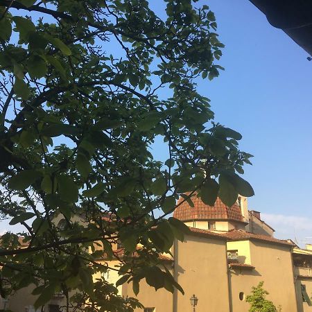 Casa Francesca Daire Lucca Dış mekan fotoğraf